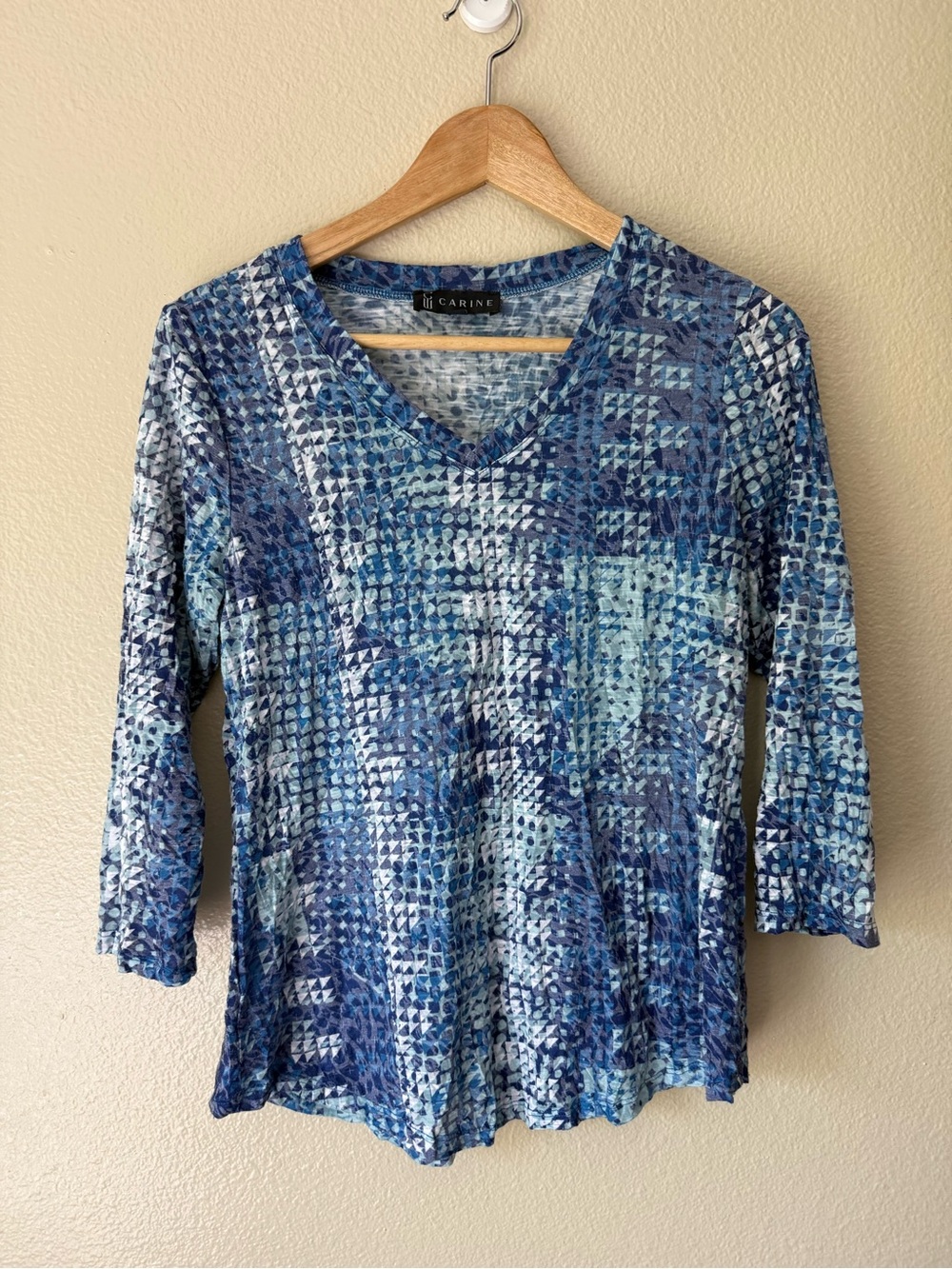 Carine Women's Blue Patterned V-Neck Top